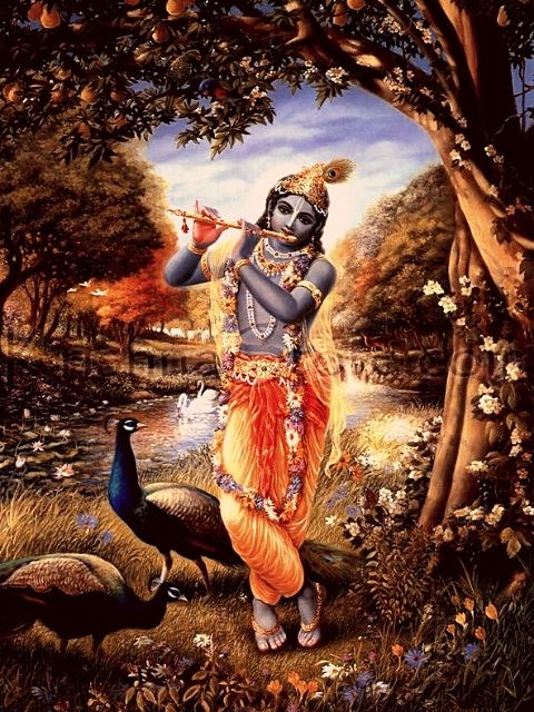 200+] Krishna Hd Wallpapers | Wallpapers.com