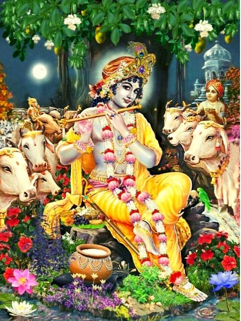 sri krishna images 1