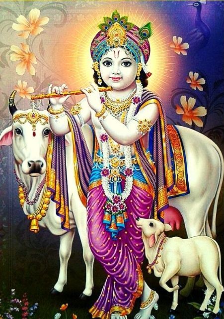 cute lord krishna images 1
