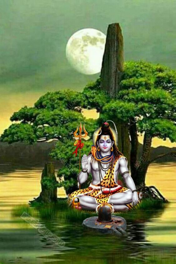 50 Best] God Mahadev HD Images & Wallpaper | महादेव के फोटोस - Digital Alia