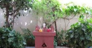Tulsi Aarti Lyrics (तुलसी आरती लिरिक्स ) 2 tulsi mata