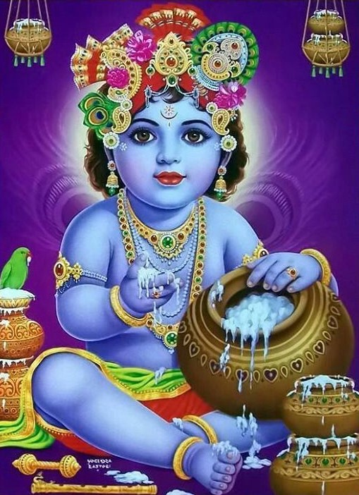 kanha pics hd