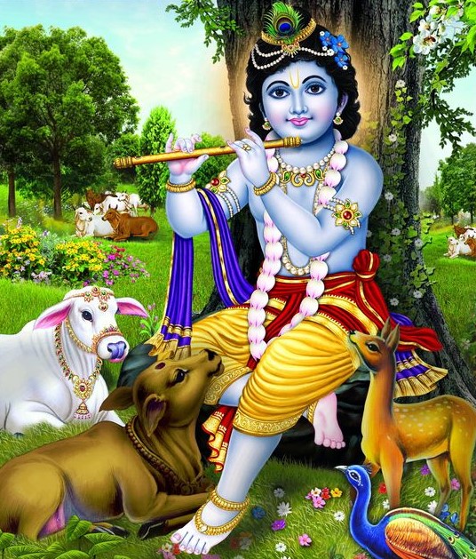 images of kanha ji