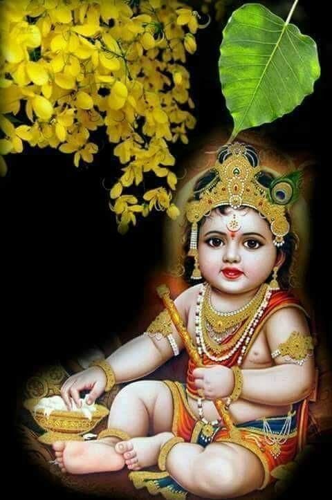 kanha pics hd wallpaper