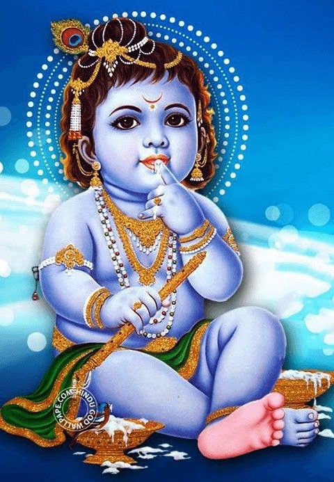 My D SQUARE Wallpaper Self Adhesive Vinyl, Cute Baby Krishna Wall Sticker  for Office Home Decor, Size 12 x 18 Inch, Area 1.5 Sq. Ft. Dgp101 :  Amazon.in: Home Improvement