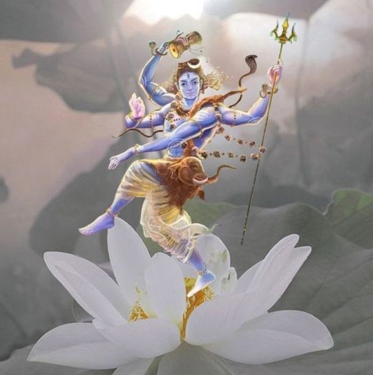 Shiva Ratri Images: A Visual Celebration of Divine Festival 2 lord shiva nataraja image 2