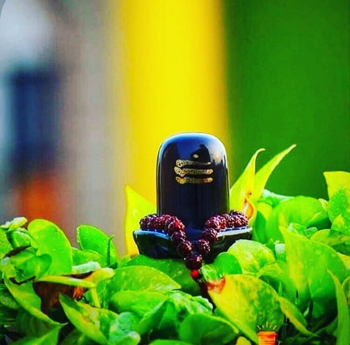 Shiva Ratri Images: A Visual Celebration of Divine Festival 17 shiva ratri image 3