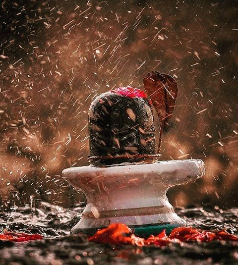 Shiva Ratri Images: A Visual Celebration of Divine Festival 18 shiva ratri image 4