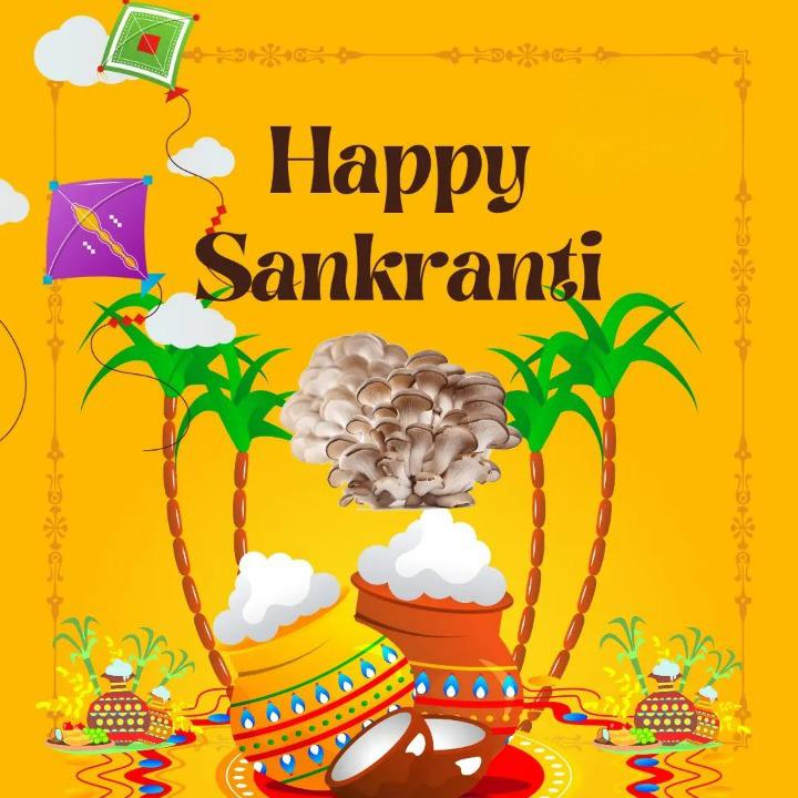 images of happy makar sankranti