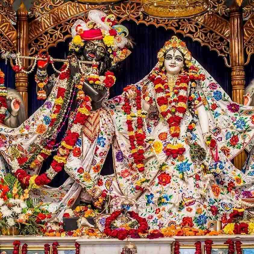 cutest radha krishna images