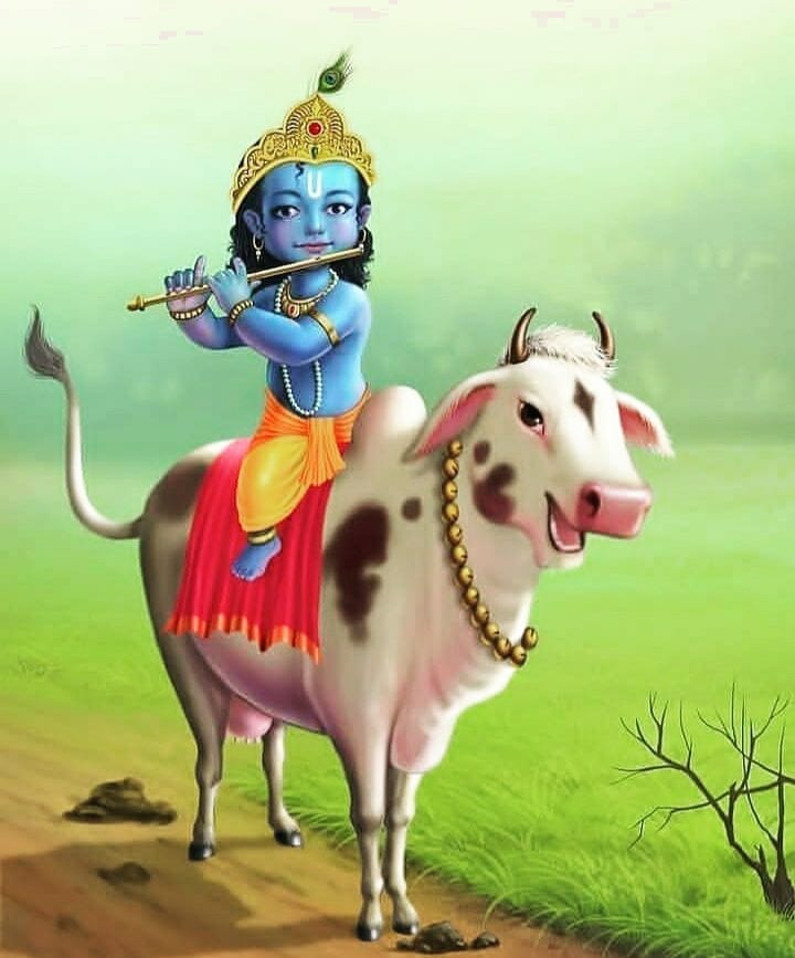 cute baby krishna image 13