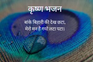 बांके बिहारी की देख छटा | Banke Bihari Ki Dekh Chhata Bhajan Lyrics 2 Banke Bihari Ki Dekh Chhata