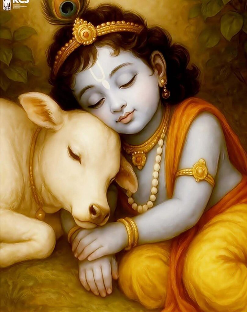 cute little krishna images 10